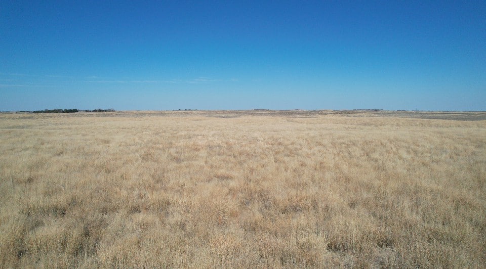 Gray County Grass Southwest of Ingalls Vaughn Roth Land Brokers